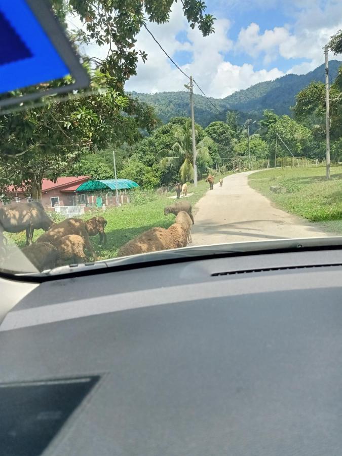 Aliza Scawa Homestay Kuala Pilah Extérieur photo